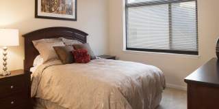 Kanso Silver Spring Gallery 11