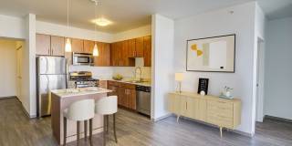 LPM Apartments Gallery 10