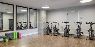 North and Line Apartments Gallery 7