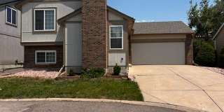 1184 Lily Court 1184 Lily Court Gallery 1