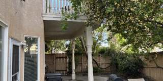 4101 Rose Parade Gallery 12