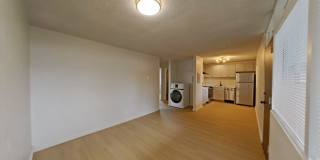 University Manor - Newly Renovated Units just a short walk from Campus! Gallery 76