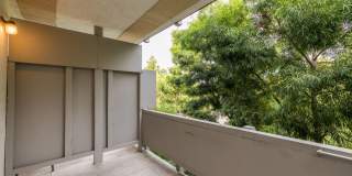 Vue at Piedmont Gallery 3