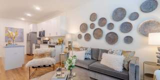 Altera Jacaranda Gallery 3