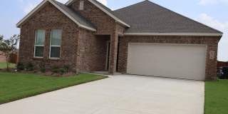 Brand-New Construction! Modern 4-Bed Home with Community Pool in Aubrey Gallery 1