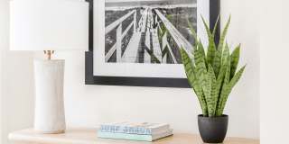 Bentley Green Apartments Gallery 30