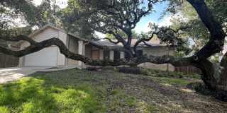 9123 Alpine Trail Street Gallery 4