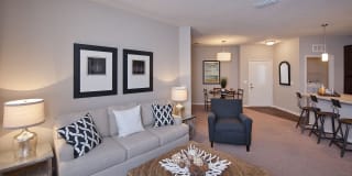 White Palm Gallery 5