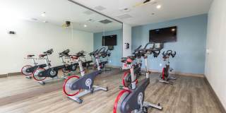 2Bayshore Gallery 55