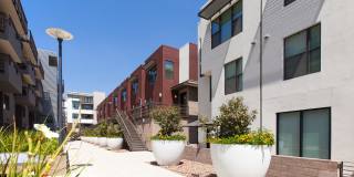 Residences at Westgate Gallery 12
