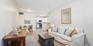 Lakeside Village Gallery 9