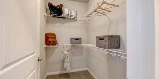 Springs at Locust Grove Gallery 5