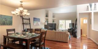 3843 Riviera Drive Gallery 11