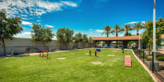 Galleria Palms Gallery 22