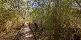 Juniper Sandy Springs Gallery 55
