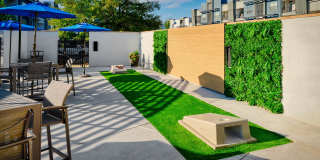 Arista Flats Gallery 7