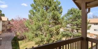 Students Welcome! Updated 2 Bedroom 1 Bath near Foothills Mall Gallery 10