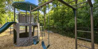 Helena Springs Gallery 41