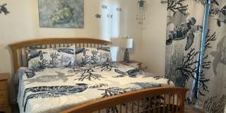 Fully furnished 3/2 available now! Gallery 11