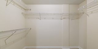 Bell Sunrise Bell Sunrise Gallery 10