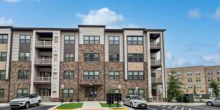 46270 MOUNT ALLEN Terrace 46270 MOUNT ALLEN Terrace Gallery 1