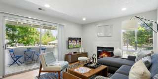 The Grove Luxury Apartments Gallery 1