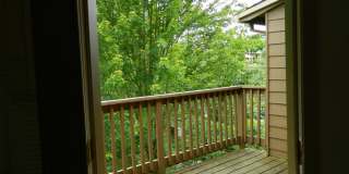 Springwater Trail Gallery 21