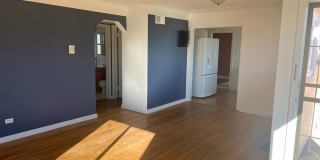 Beautiful 2 bedroom home in Chaffee Park with Huge Studio Gallery 5