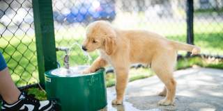 Mizner Court Gallery 36