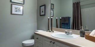 Paces Park Gallery 26