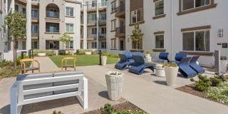 Alta Westwind Gallery 36