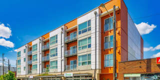 Harlow Heights Gallery 5