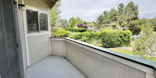 2519 Sunny Slope Drive 2519 Sunny Slope Drive Gallery 6