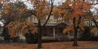 RENOVATED STUDIO WEST CENTRAL APARTMENT | HISTORIC BUILDING | PET FRIENDLY | AVAIL NOW Gallery 1