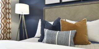 Adler Apartment Homes Gallery 18