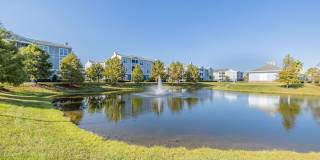 Longshore Commons Gallery 39