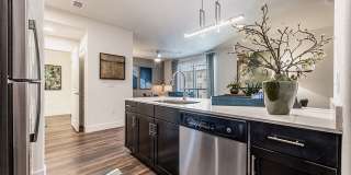 Parkside at Craig Ranch Apartment Gallery 12