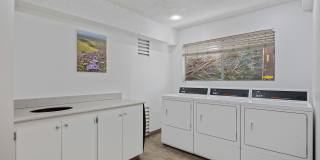 Bon Anza Gallery 14