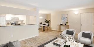 Coconut Palm Club Gallery 54