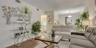Regatta Apartments Gallery 16