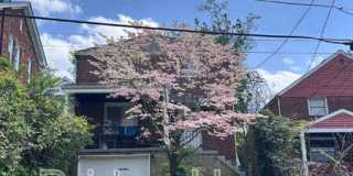 63 West Bellecrest Avenue Gallery 1