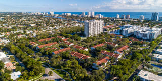 10X Port Royale 10X Port Royale Gallery 5