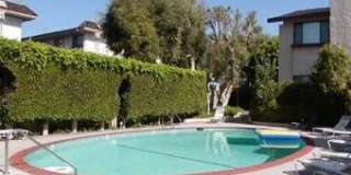 Beautiful and spacious multilevel townhouse in model home condition Gallery 35