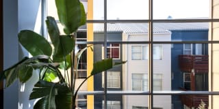 Soma Residences Gallery 10