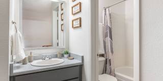 Vista Alegre Apartments Gallery 6