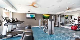 770 South Harbor Gallery 43