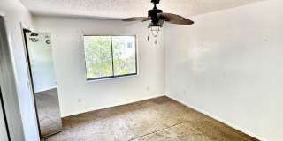 236 Chandler Street unit: A Gallery 13