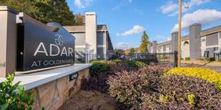 Adar at Golden Gate Gallery 1