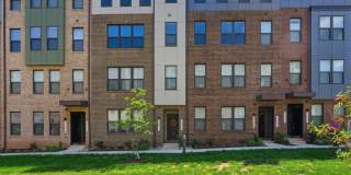 44617 WOLFHOUND Square Gallery 1