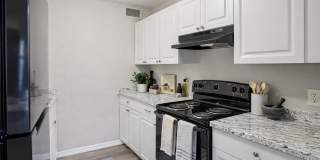 The Element at 464 Gallery 5